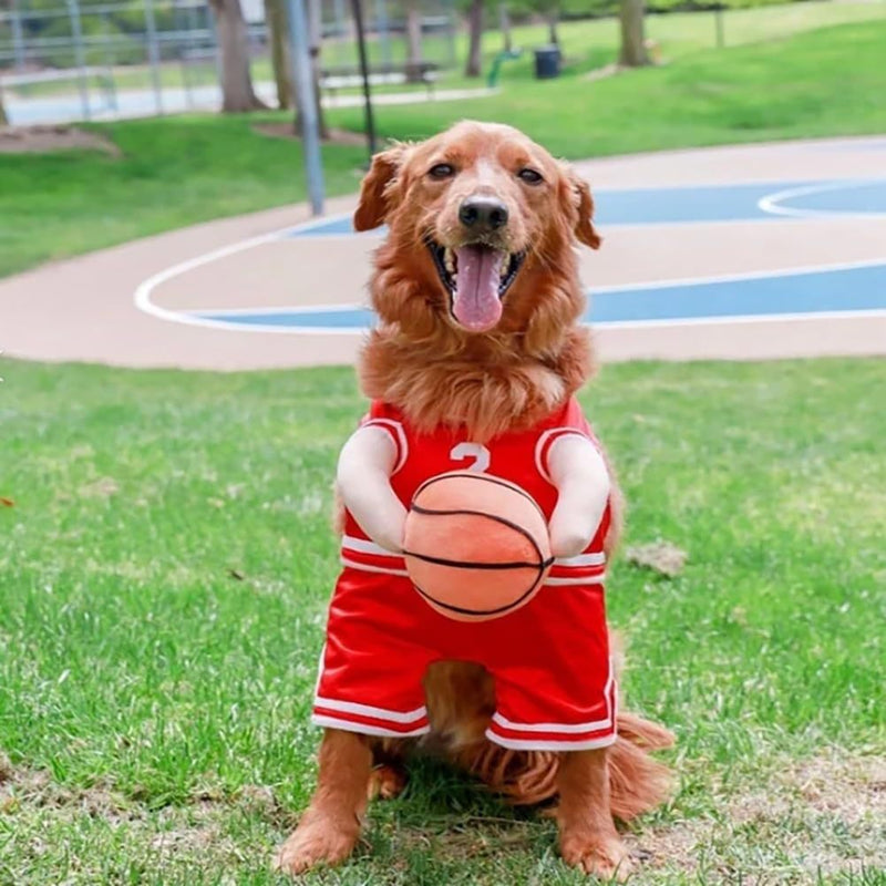 Basketball walking costume for dogs